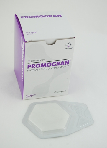 Promogran Protease Modulating Matrix 28cm2
