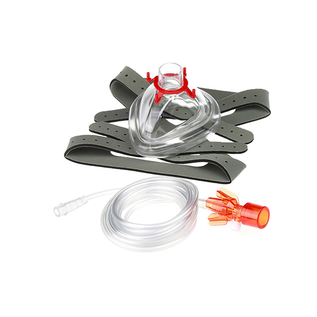 Cpap System, Adult Large W/ Mask/Head Harness